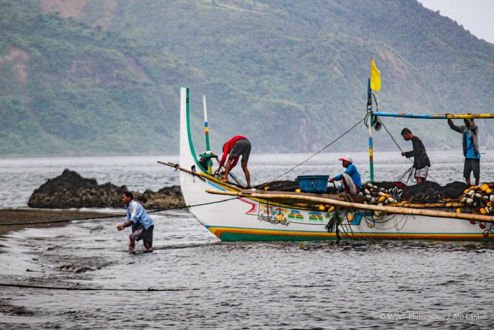 a team of fishermen hall their boat and their catch onto shore
