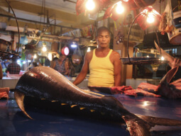 Fisherman selling tuna in the market