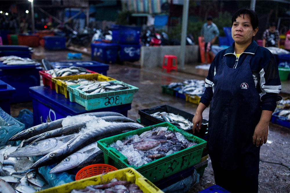 a fishmonger sells her catch at a fishmarket in myanmar
