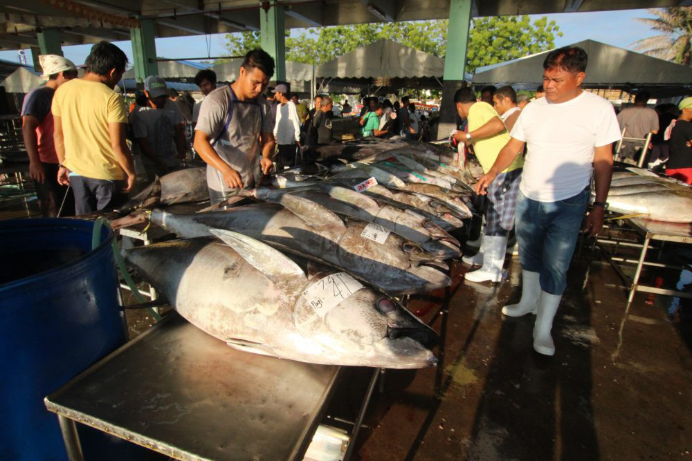 a tuna landing port in general santos the philippines