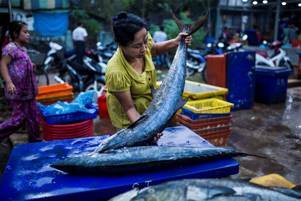 a woman lays fish out on-a table ready for the days customers