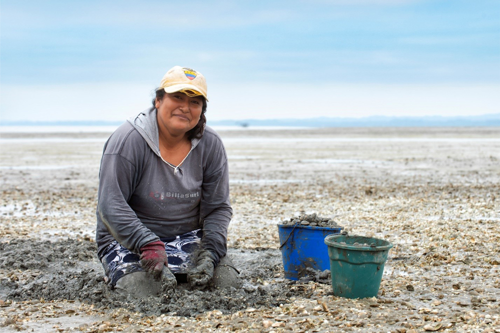 a woman picks clams off a beach in ecuador