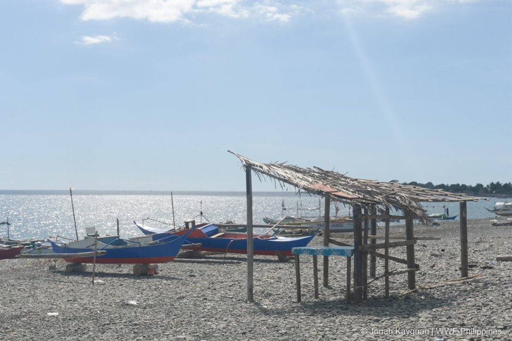fishing boats sit on the shores of occidental mindoro
