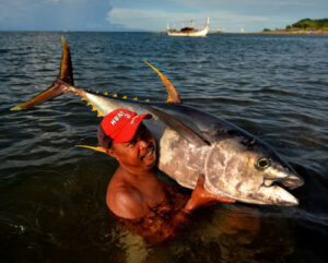 bankulis or yellowfin tuna are the most highly-prized fish in bicol's lagonoy gulf feature image