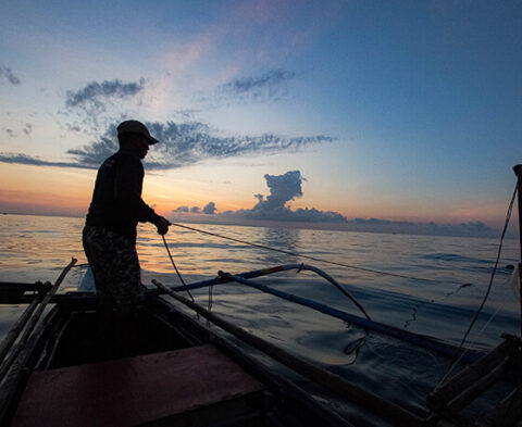 Bangkulis Tuna Tales from Hook to Cook Digital Version - WWF ...