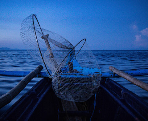 Ecological Risk Assessment of Tuna Handline Fisheries in Mindoro Strait