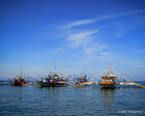 wwf 2019 guidance paper illegal unreported and unregulated fishing